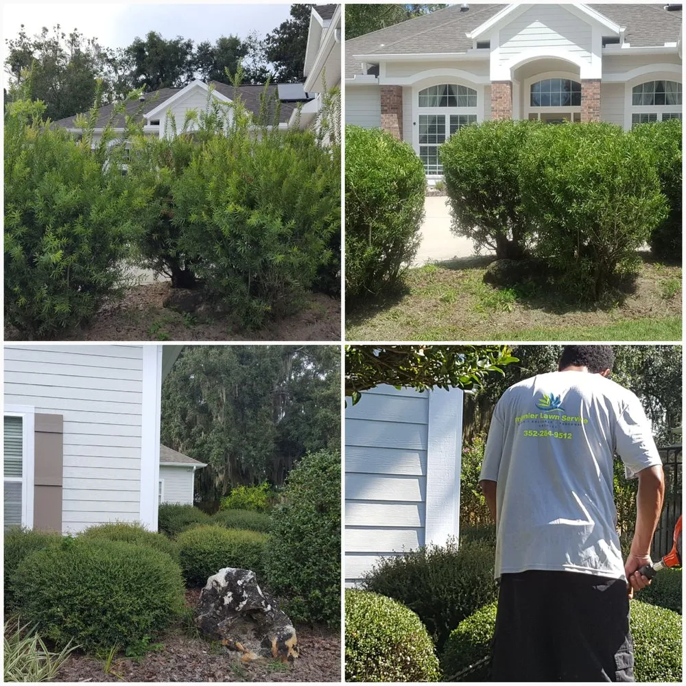 Custom yard cleanup service for residential properties in High Springs, FL by Premier Lawn Care