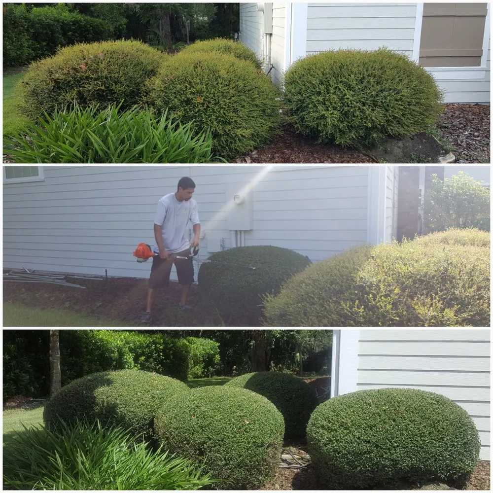 Custom yard cleanup service experts serving High Springs, FL - Premier Lawn Care