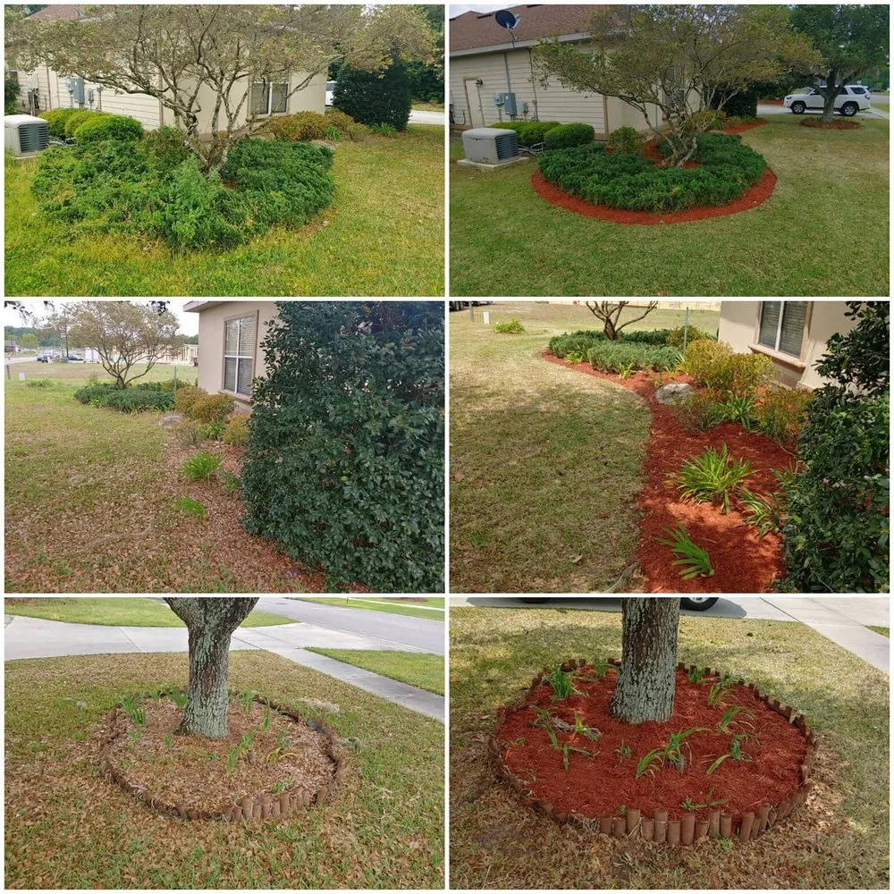 Trusted landscaping services for year-round maintenance across High Springs, FL - Premier Lawn Care
