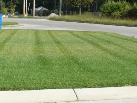 Affordable landscaping services for homes in Manchester, TN by Premier Lawn Care