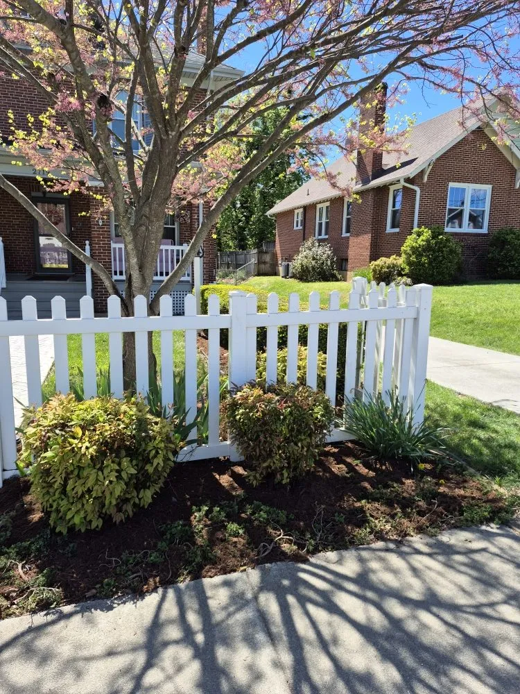 Local yard cleanup service in Moneta, VA - Premier Lawn Care