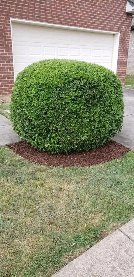 Professional residential landscaping in Pensacola, FL by Premier Lawn Care