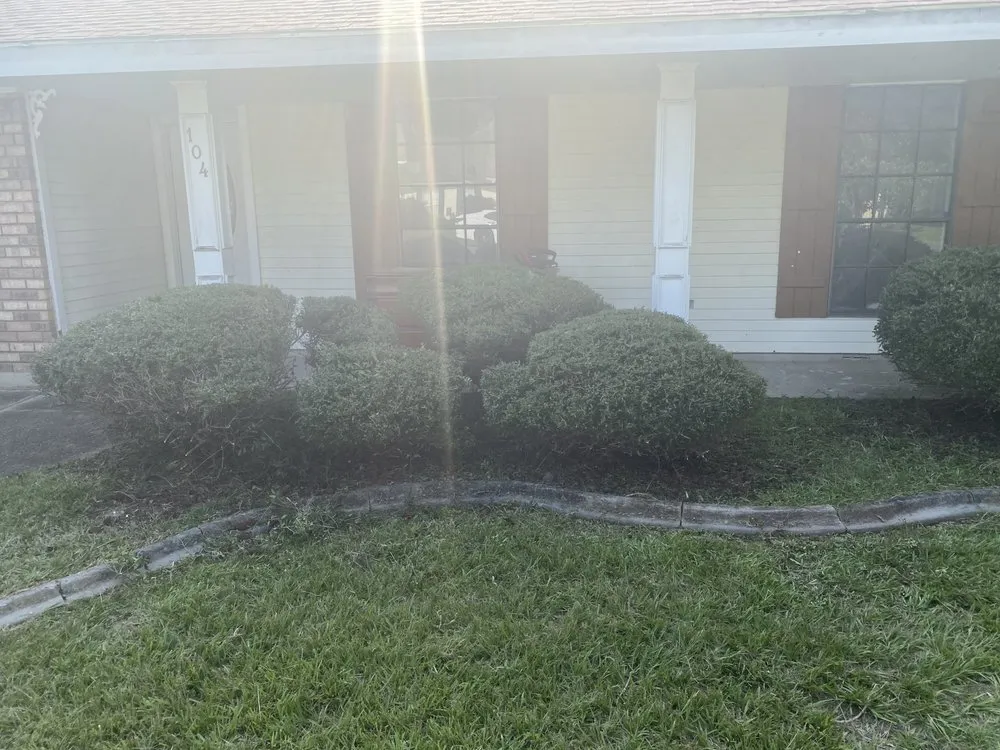 Affordable outdoor landscaping near you across Luling, LA - Premier Lawn Care Service