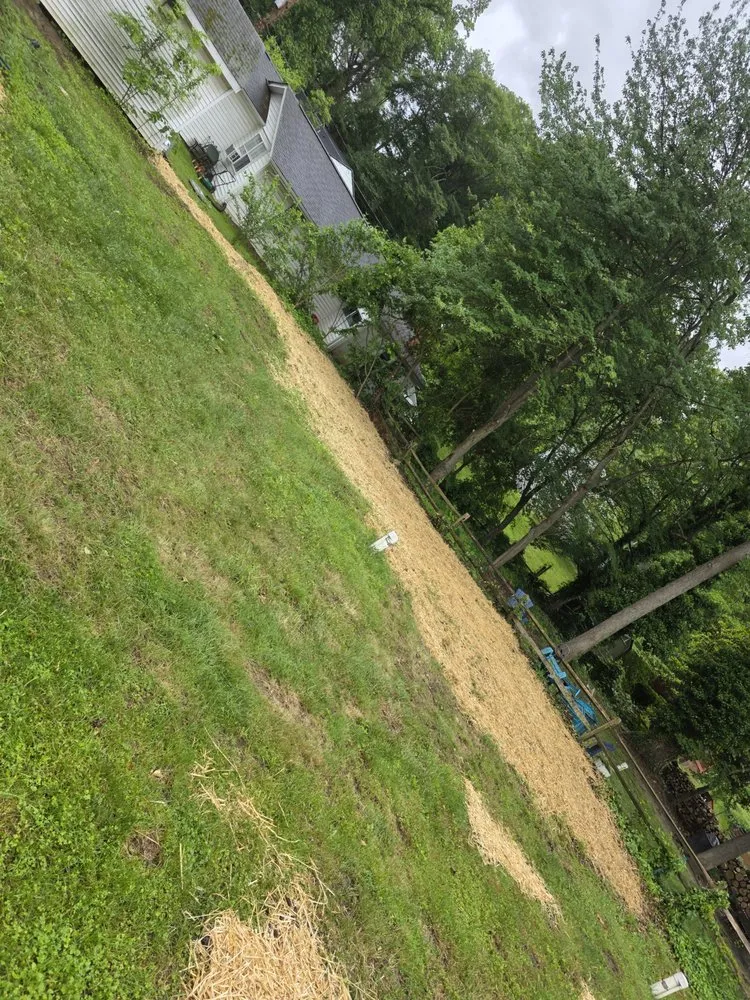 Reliable landscape design in Annapolis, MD - Premier Lawn Cuts