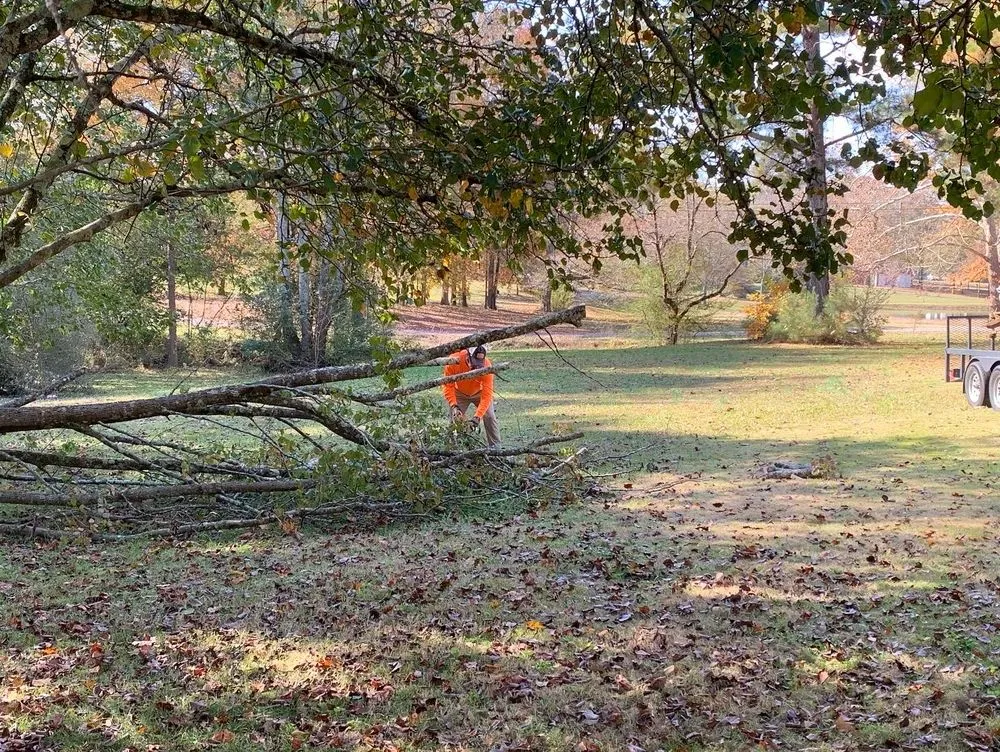 Top-rated landscape design for homes across Arab, AL - Premier Lawn Management