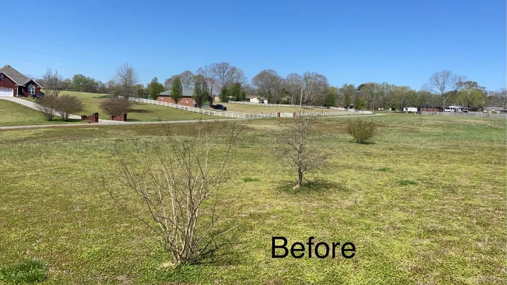 Top-rated landscape installation in Arab, AL by Premier Lawn Management