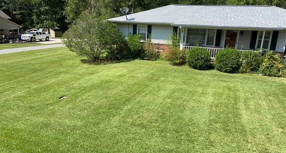 Top-rated lawn care service for homes in Arab, AL by Premier Lawn Management