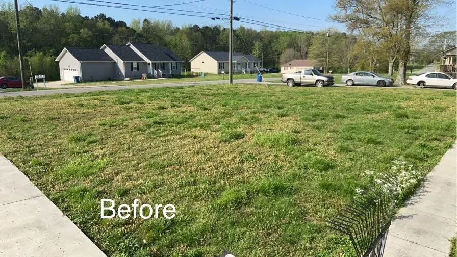 Custom residential landscaping for year-round maintenance across Arab, AL - Premier Lawn Management