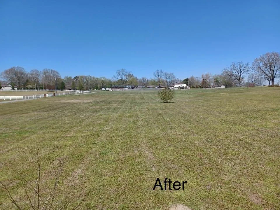 Expert garden landscaping for beautiful yards across Arab, AL - Premier Lawn Management