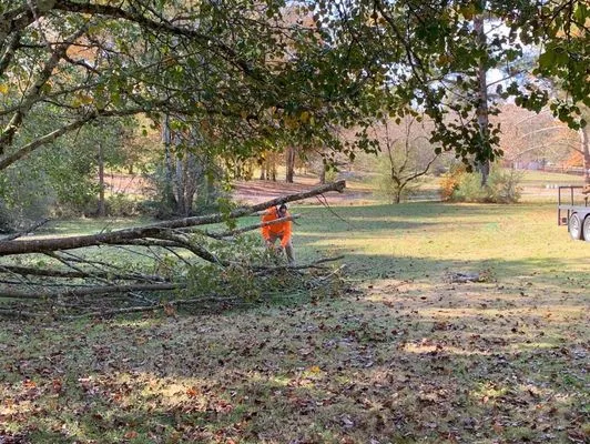 Premier Lawn Management