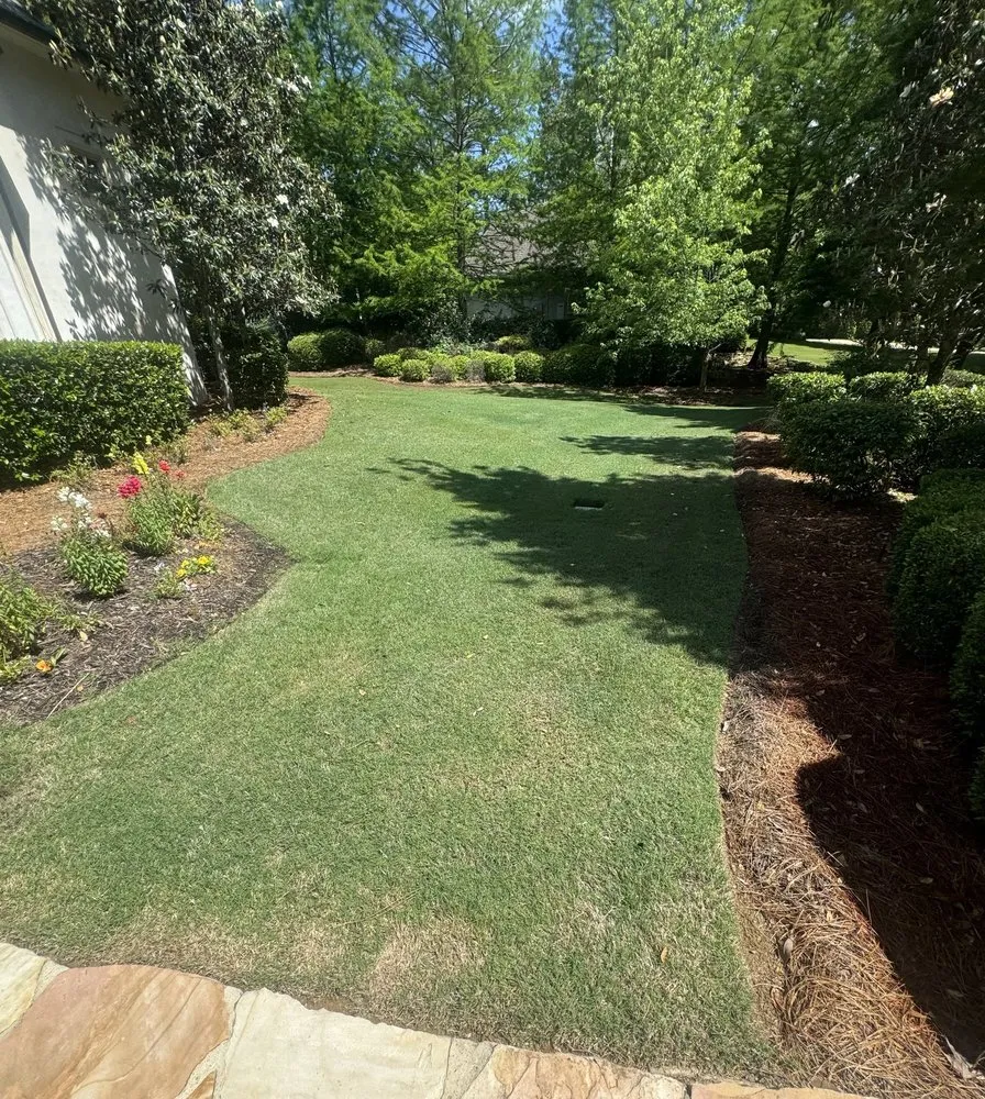 Trusted lawn care service in Brandon, MS - Premier Lawn Professionals
