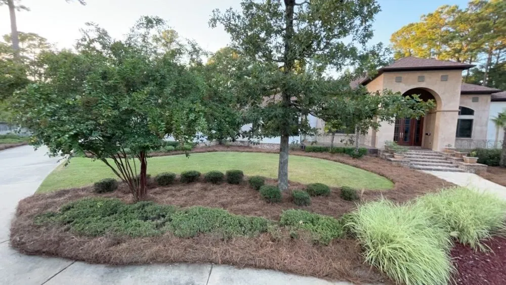 Trusted landscape design experts serving Brandon, MS - Premier Lawn Professionals