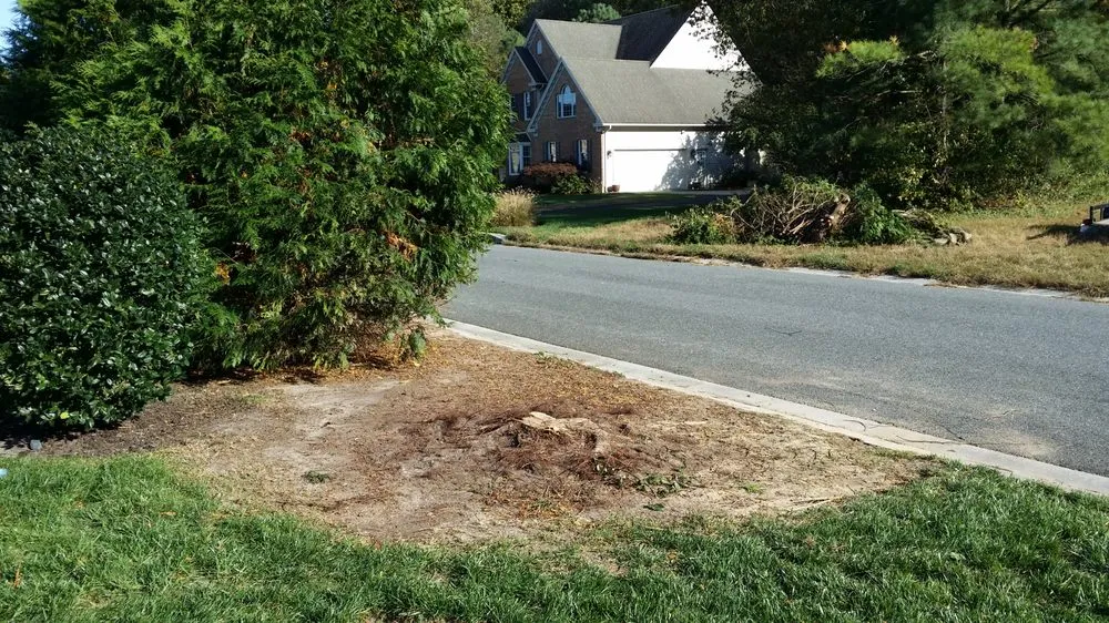 Local yard maintenance in Salisbury, MD - Premier Lawn Scapes