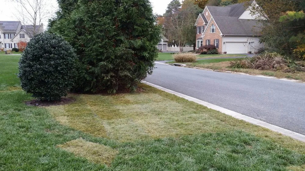 Affordable landscape installation for beautiful yards in Salisbury, MD by Premier Lawn Scapes