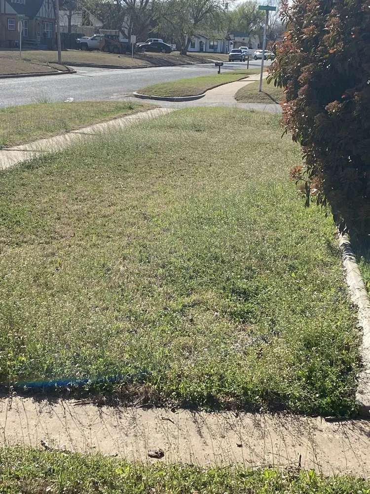 Expert yard cleanup service for year-round maintenance across Elk City, OK - Premier Lawn Service