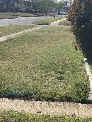 Premier Lawn Service