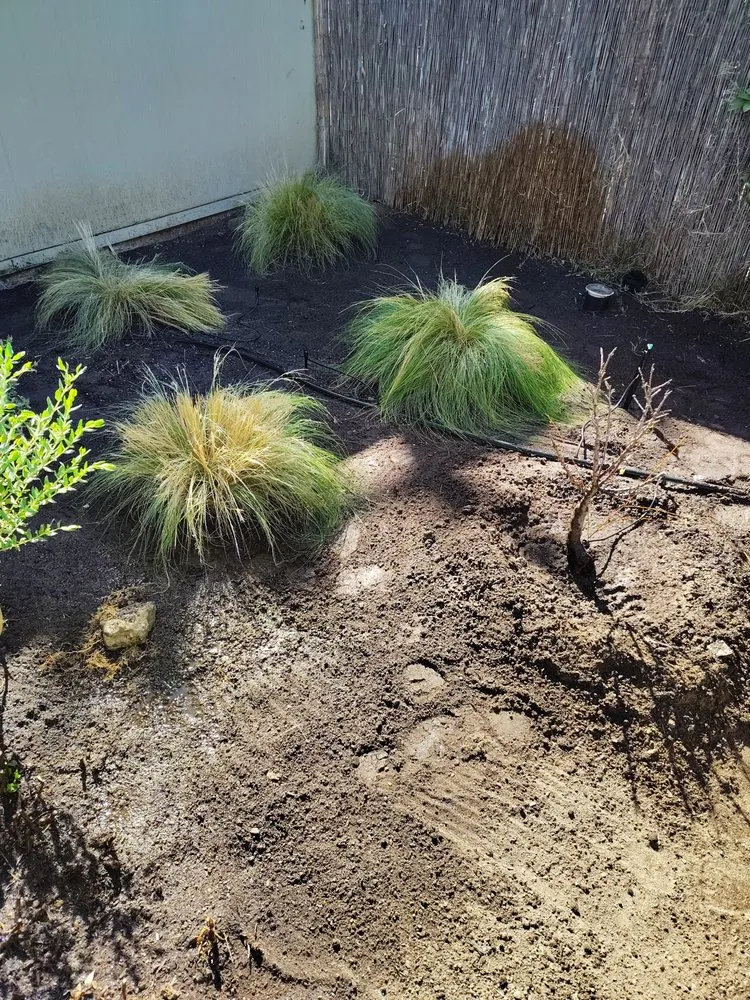 Local residential landscaping in Fresno, CA - Premier Lawn Service