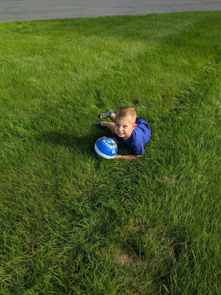 Affordable landscape design in Kirkville, NY by Premier Lawn Services