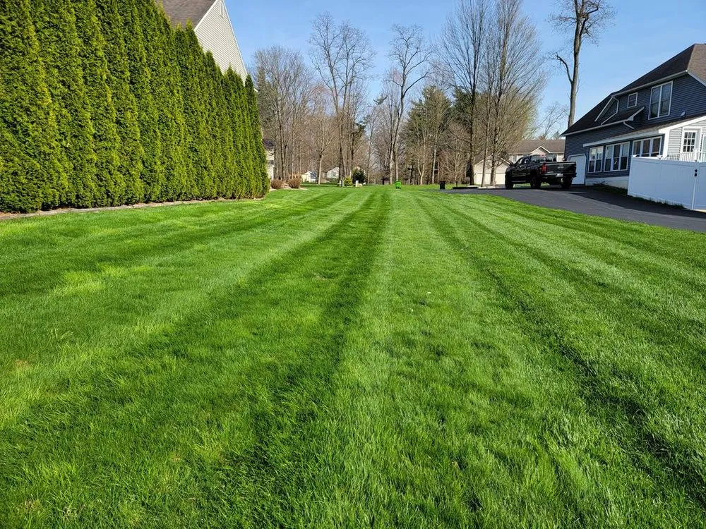 Expert yard maintenance experts serving Kirkville, NY - Premier Lawn Services