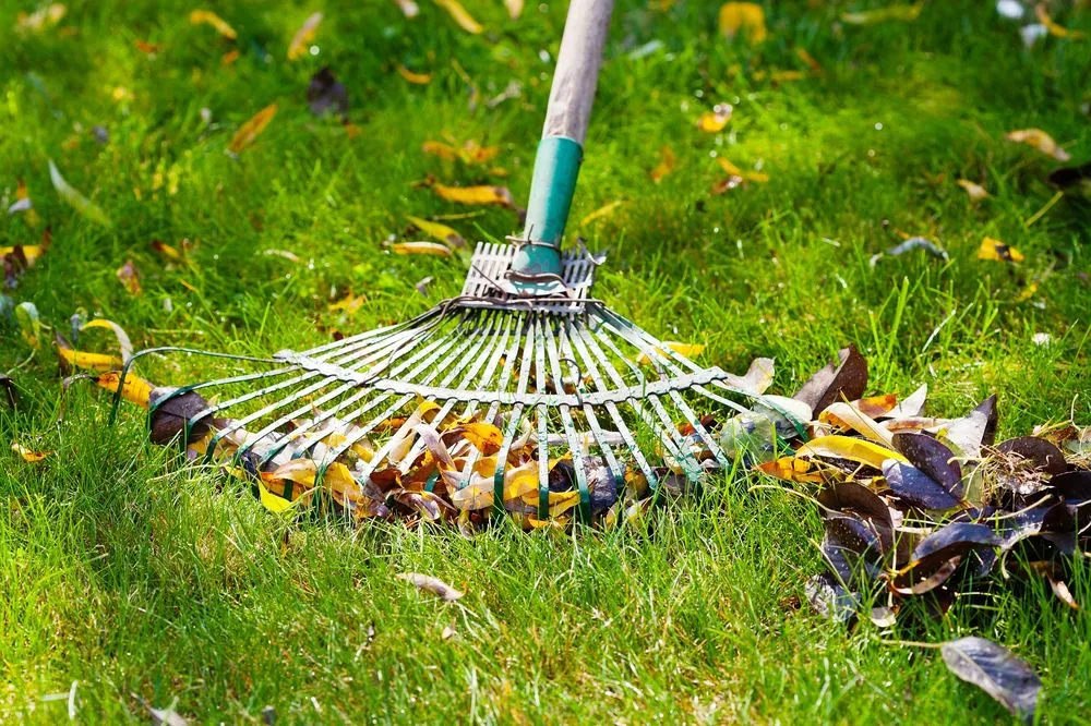 Professional landscape installation in Kirkville, NY by Premier Lawn Services