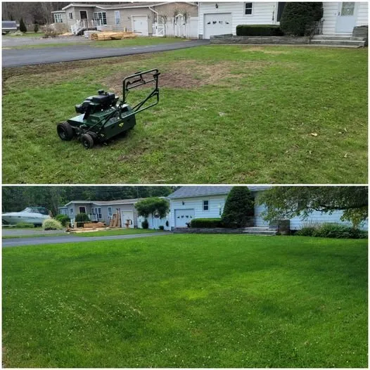 Reliable yard cleanup service experts serving Kirkville, NY - Premier Lawn Services