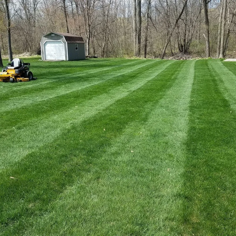 Custom lawn care service for residential properties in Kirkville, NY by Premier Lawn Services