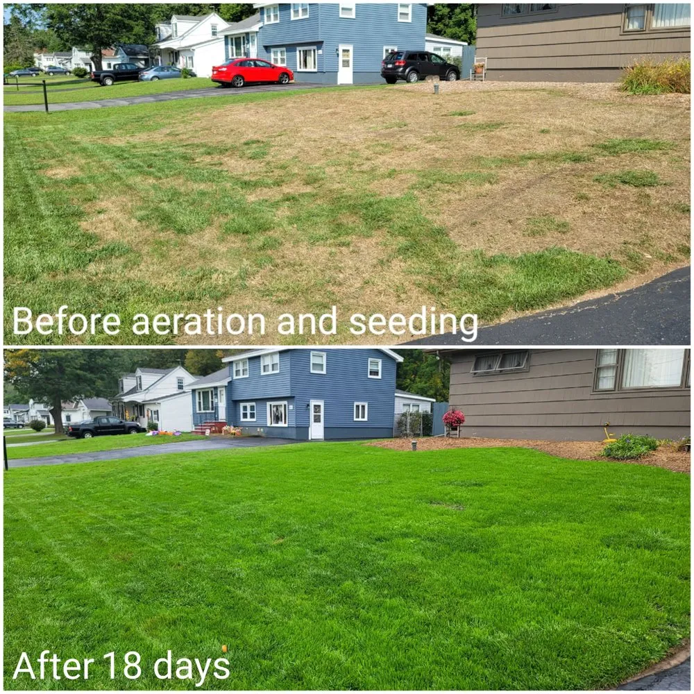 Top-rated residential landscaping for beautiful yards across Kirkville, NY - Premier Lawn Services