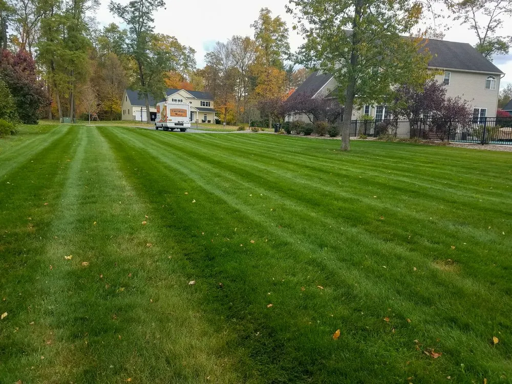 Top-rated residential landscaping with custom design across Kirkville, NY - Premier Lawn Services