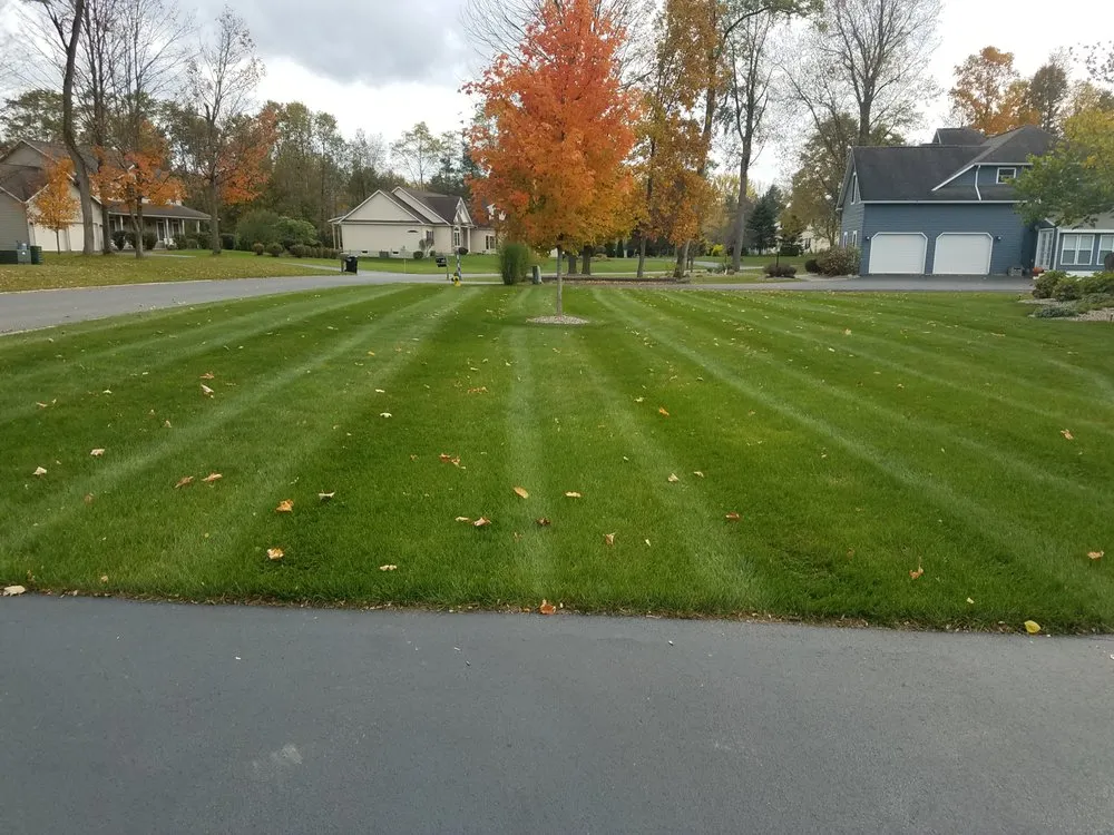 Local lawn mowing service in Kirkville, NY by Premier Lawn Services