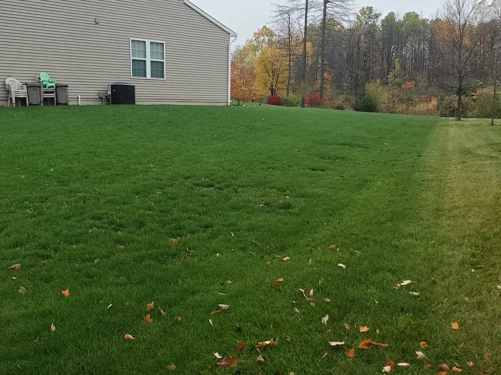 Top-rated lawn mowing service for homes across Kirkville, NY - Premier Lawn Services