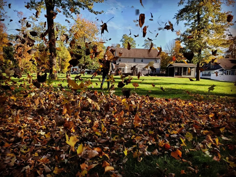 Trusted lawn mowing service for homes across Kirkville, NY - Premier Lawn Services