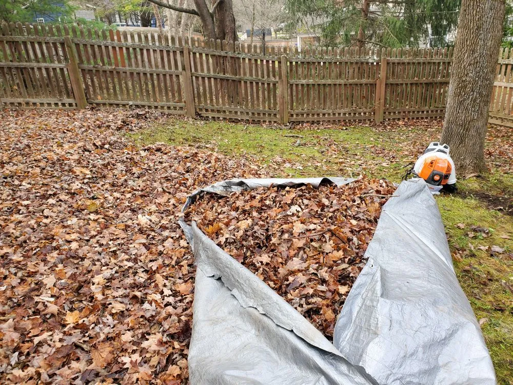 Professional landscape design in Kirkville, NY - Premier Lawn Services