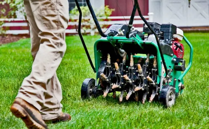 Expert landscaping services in Kirkville, NY by Premier Lawn Services