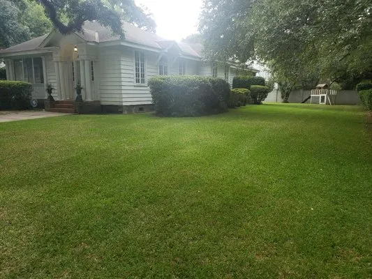 Premier Lawn Solutions Logo