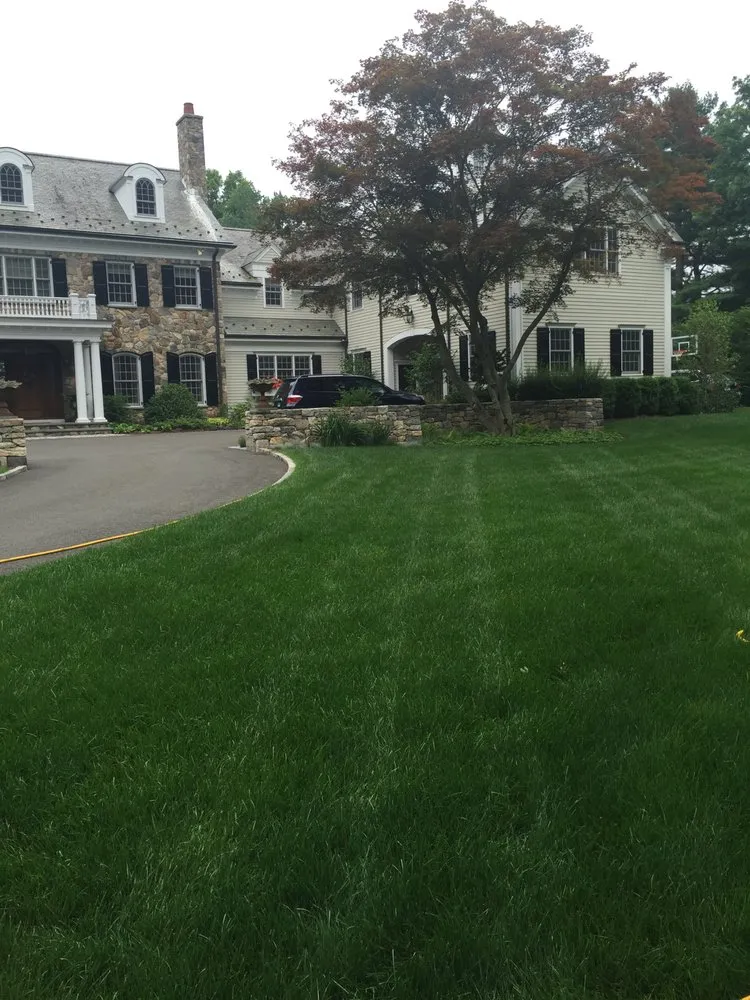 Custom yard maintenance for beautiful yards across Norwalk, CT - Premier Lawn Solutions
