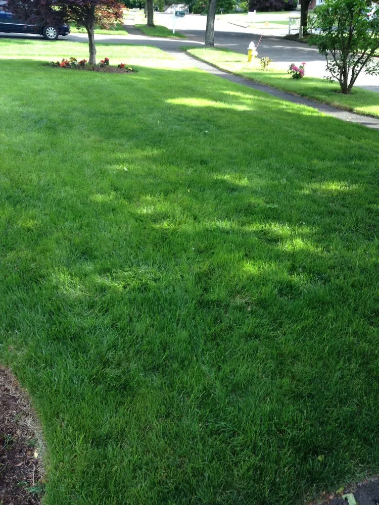 Custom yard cleanup service in Norwalk, CT by Premier Lawn Solutions