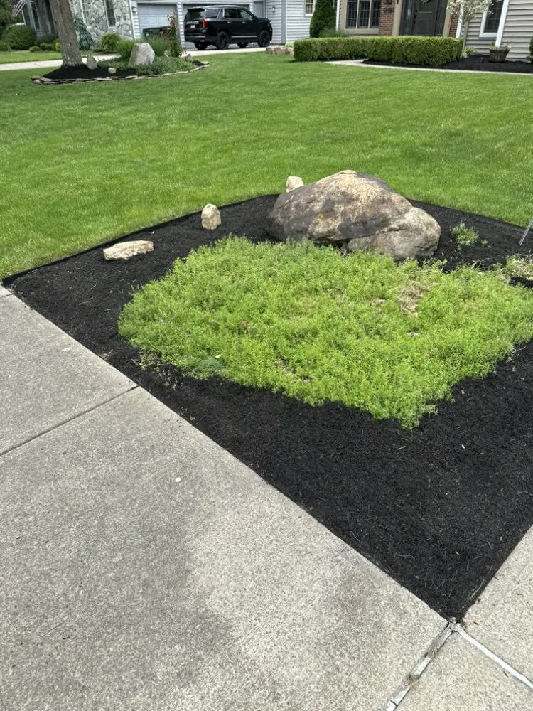 Affordable lawn care service near you in Westlake, OH by Premier Lawn Solutions