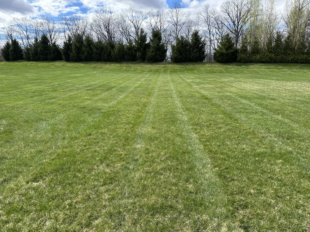 Top-rated yard cleanup service for beautiful yards across Germansville, PA - Premier Lawncare LV