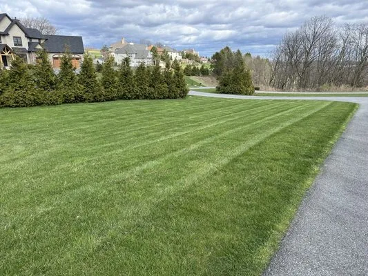 Premier Lawncare LV