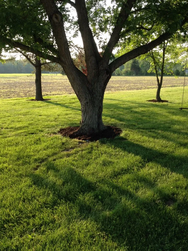 Trusted landscape installation in Madison, IN - Premier Lawns and Landscapes