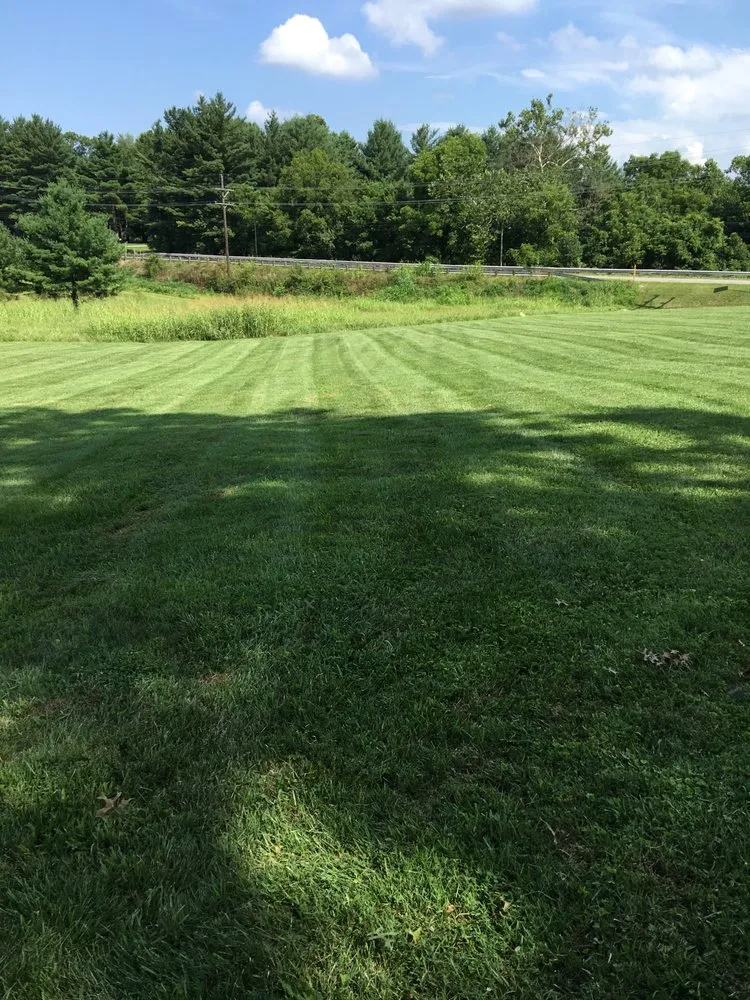 Professional yard maintenance in Madison, IN - Premier Lawns and Landscapes