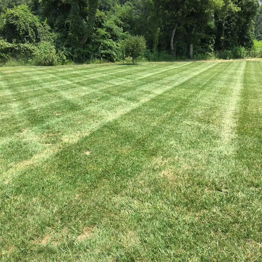 Trusted garden landscaping in Madison, IN - Premier Lawns and Landscapes