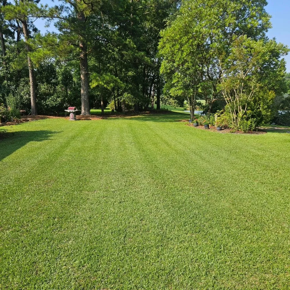 Trusted landscape design with custom design across New Bern, NC - Premier Lawns of New Bern