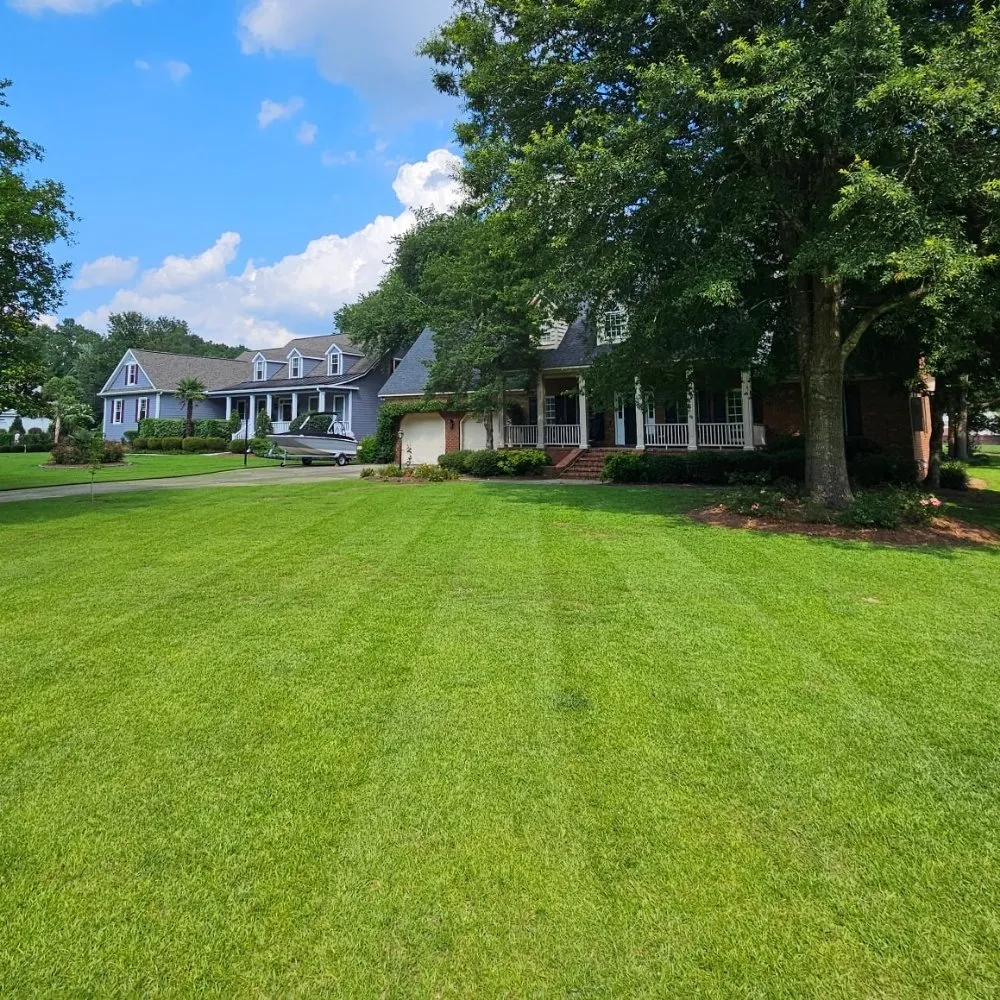 Professional yard cleanup service for homes in New Bern, NC by Premier Lawns of New Bern