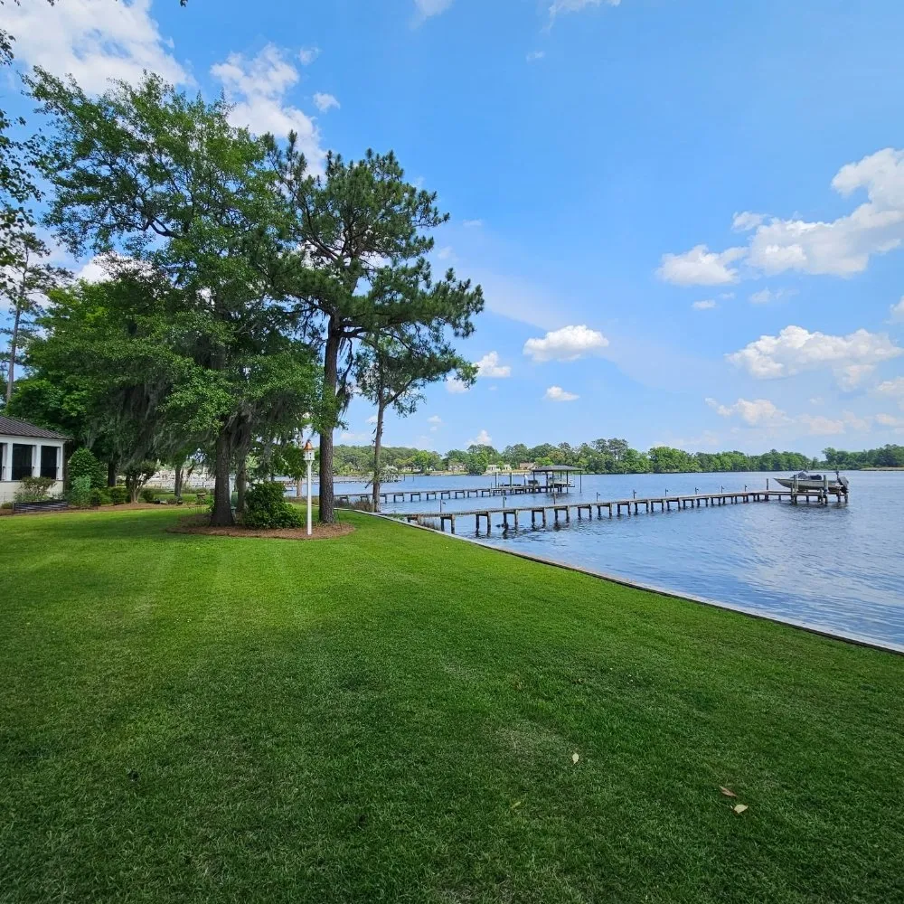 Expert outdoor landscaping for beautiful yards across New Bern, NC - Premier Lawns of New Bern