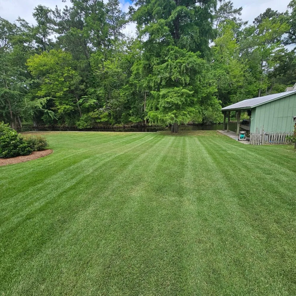 Expert landscaping services in New Bern, NC - Premier Lawns of New Bern
