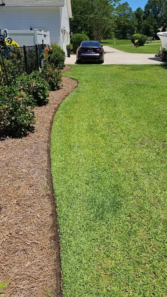 Professional yard cleanup service in New Bern, NC by Premier Lawns of New Bern