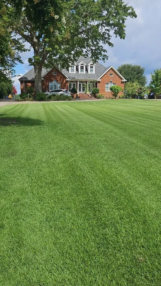 Professional landscape design for beautiful yards in New Bern, NC by Premier Lawns of New Bern