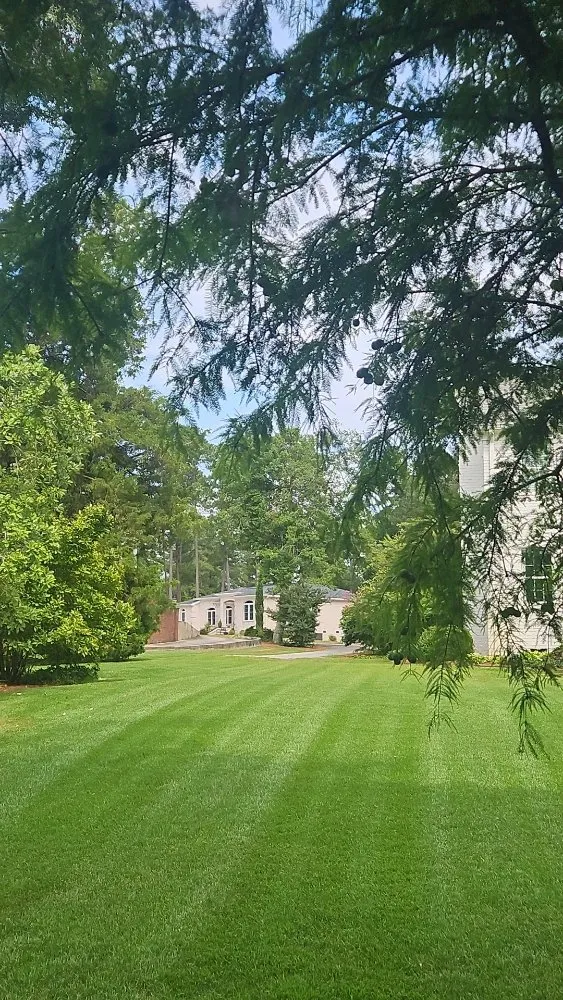 Expert residential landscaping in New Bern, NC - Premier Lawns of New Bern