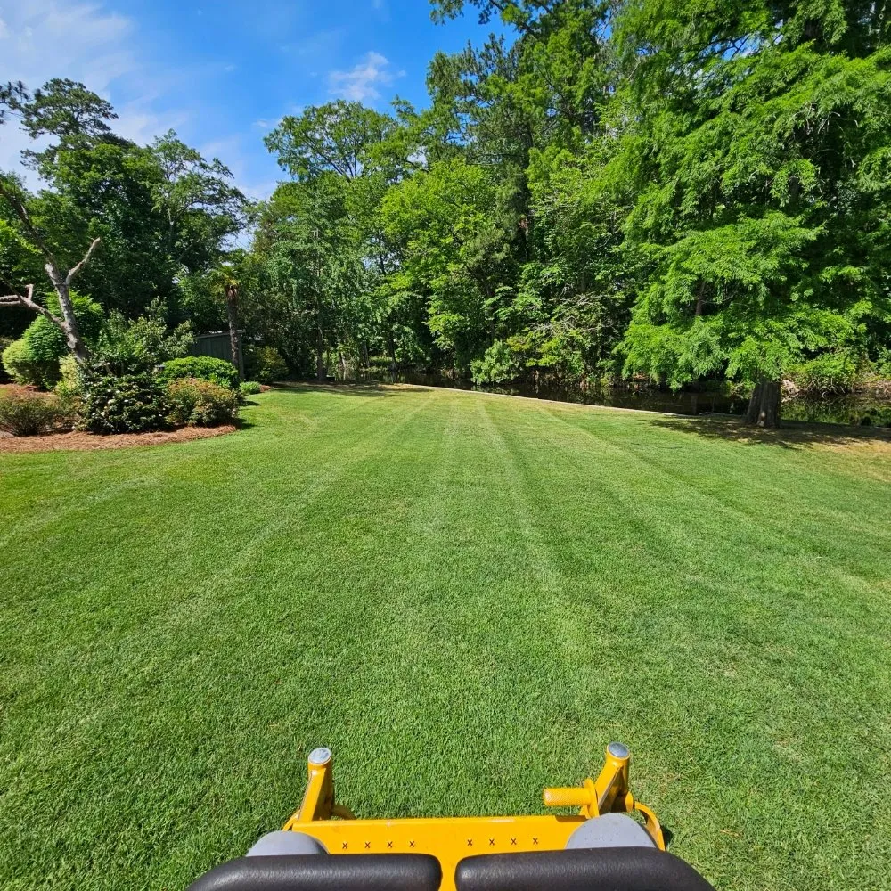 Professional garden landscaping in New Bern, NC - Premier Lawns of New Bern